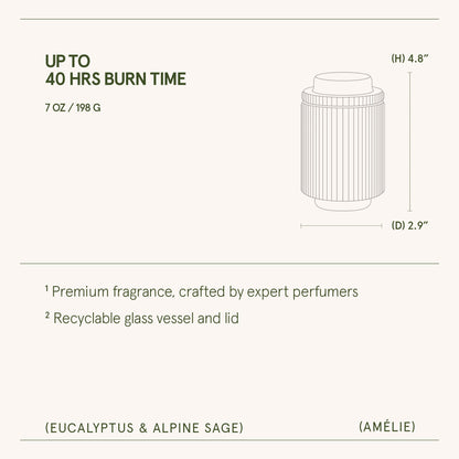 Amélie –  Eucalyptus &amp; Alpine Sage Candle