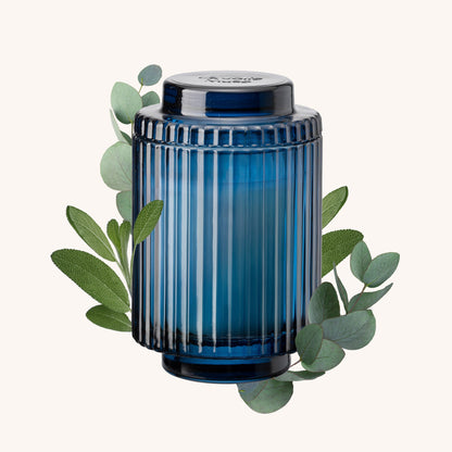 Amélie –  Eucalyptus &amp; Alpine Sage Candle