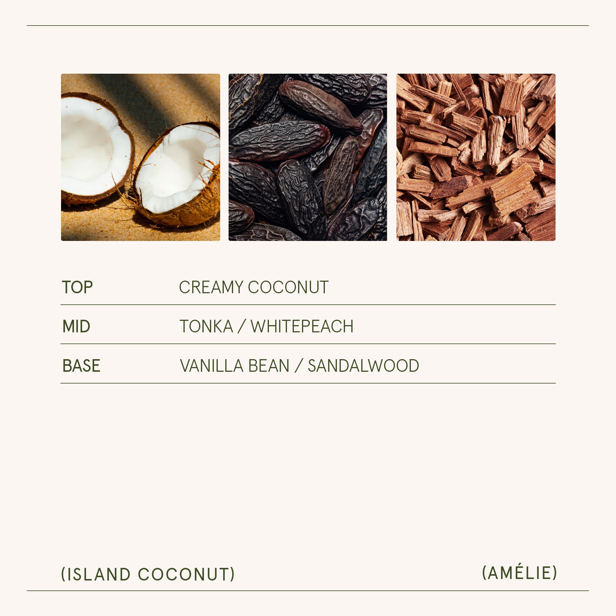 Amélie – Island Coconut Candle