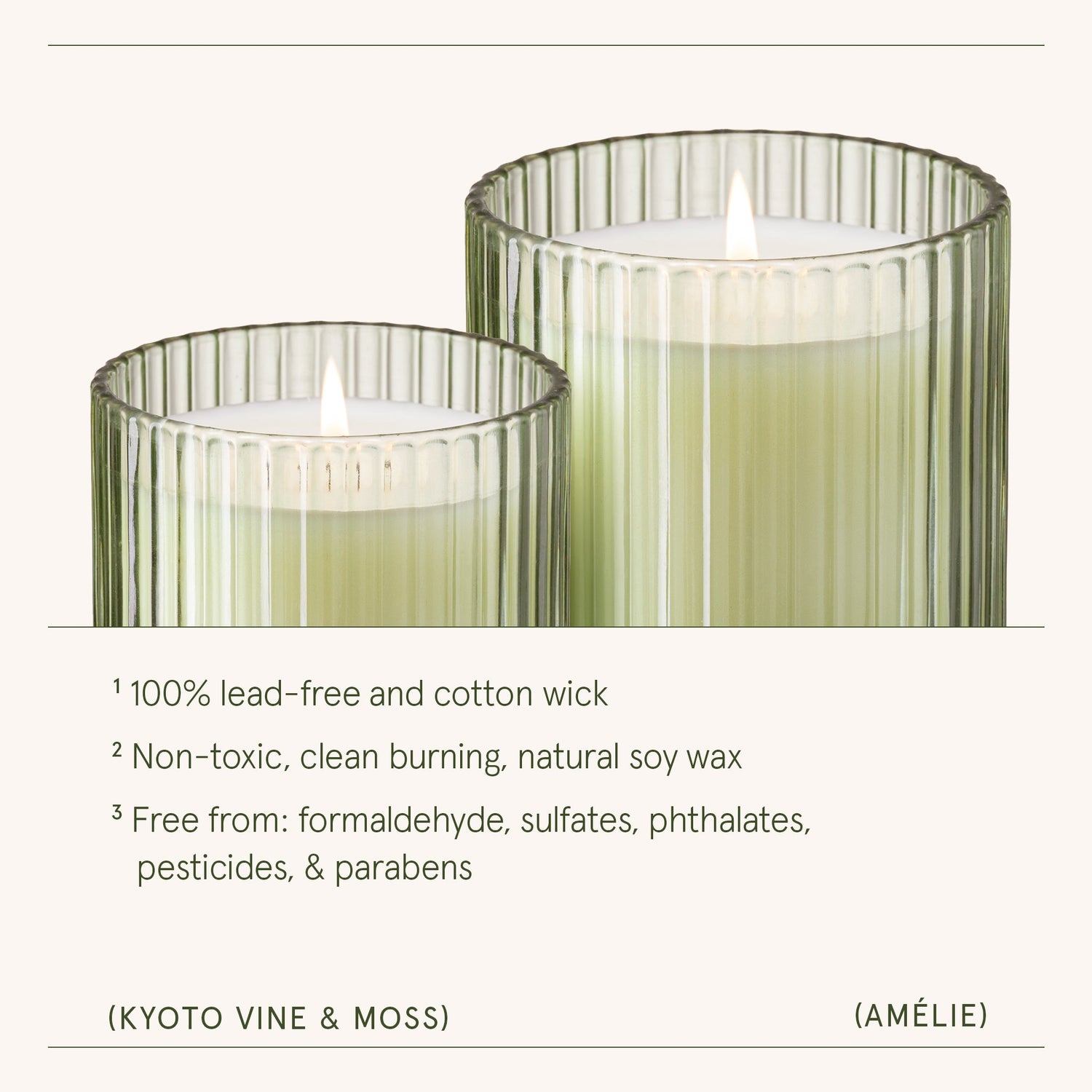 Amélie– Kyoto Vine &amp; Moss Candle