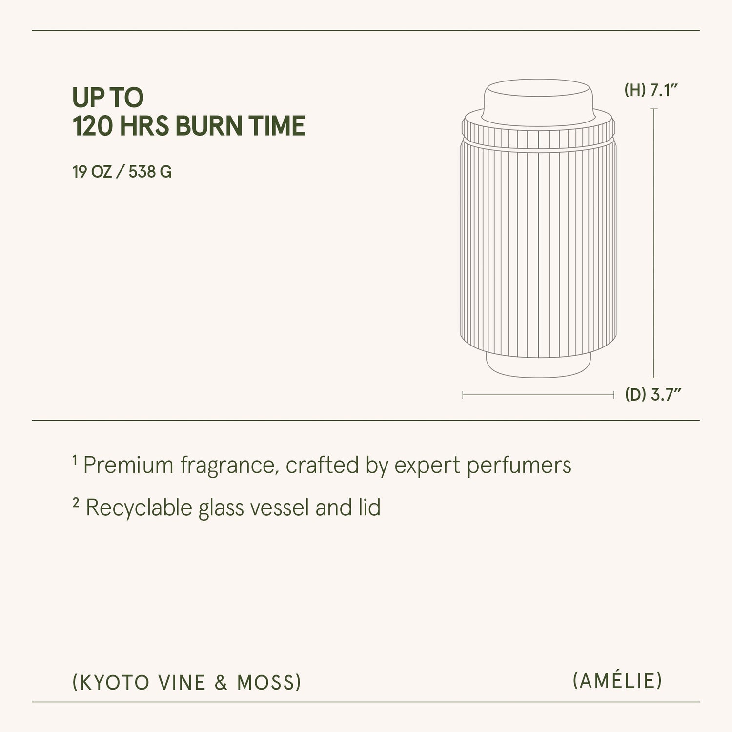 Amélie– Kyoto Vine &amp; Moss Candle