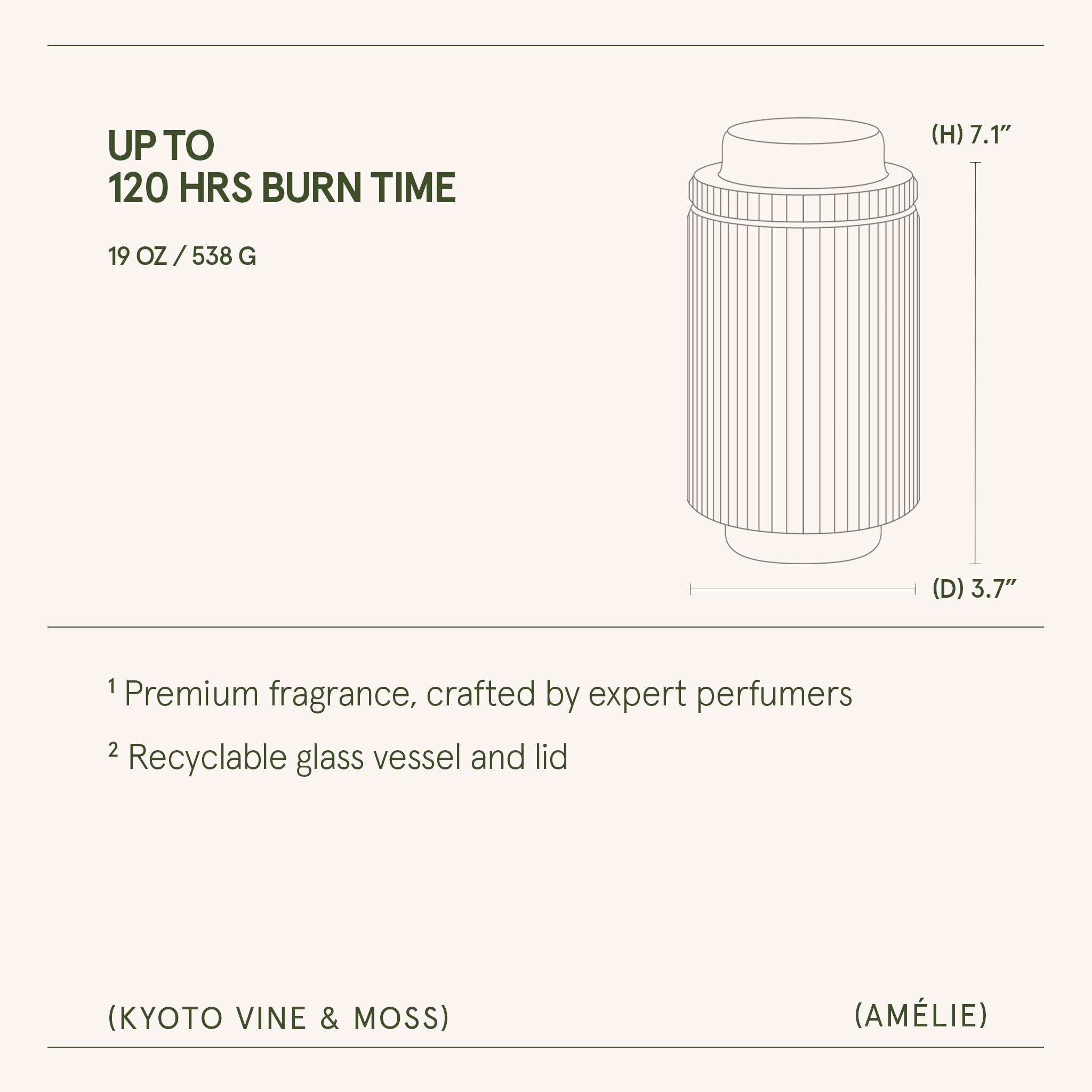 Amélie– Kyoto Vine &amp; Moss Candle