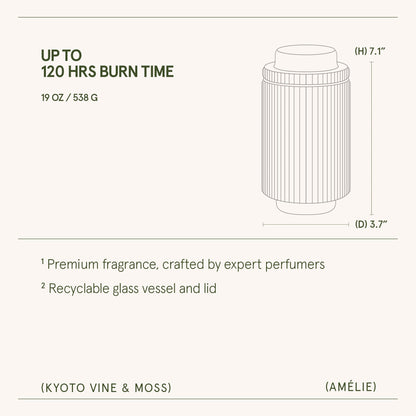 Amélie– Kyoto Vine &amp; Moss Candle