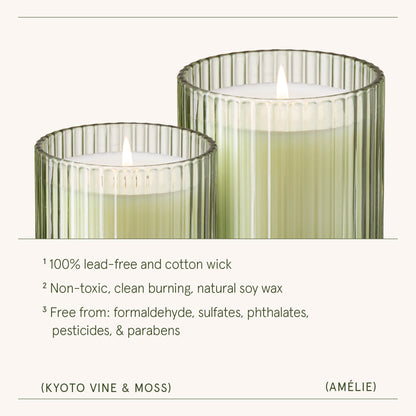 Amélie– Kyoto Vine &amp; Moss Candle