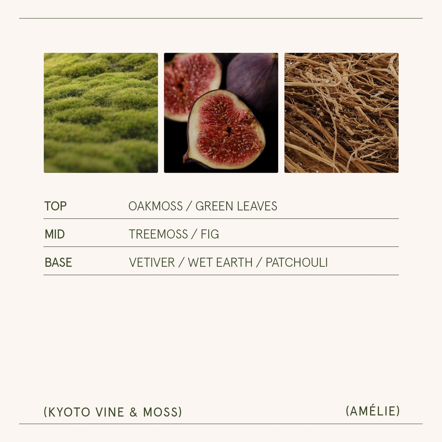Amélie– Kyoto Vine &amp; Moss Candle