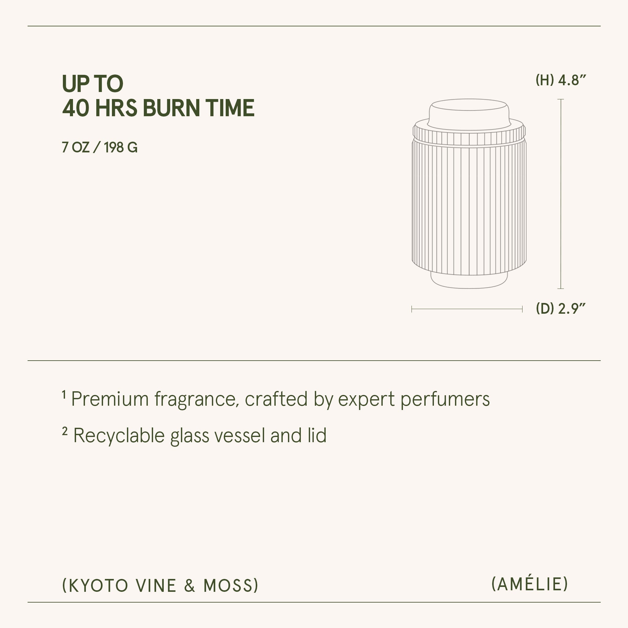 Amélie– Kyoto Vine &amp; Moss Candle