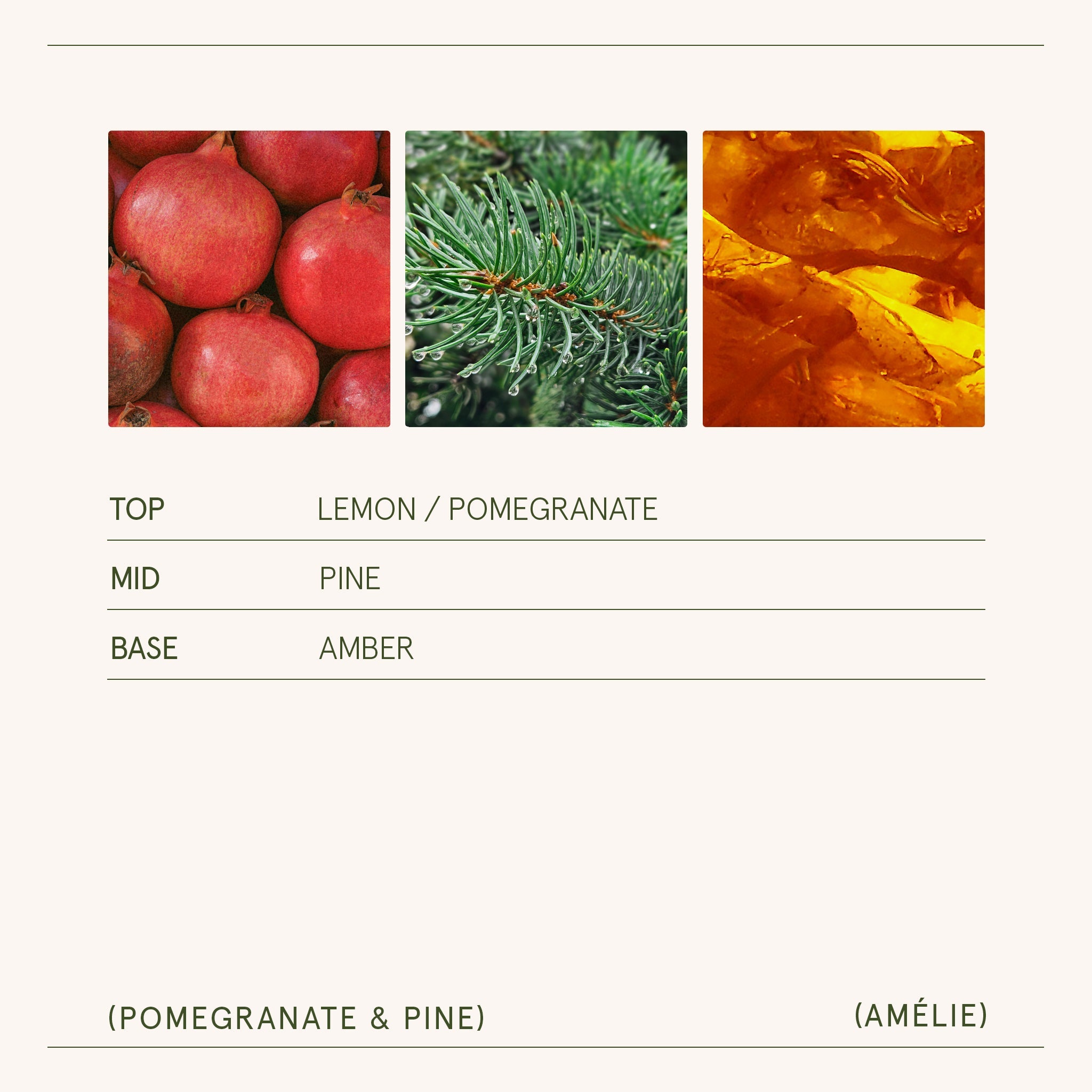 Amélie – Pomegranate &amp; Pine Candle