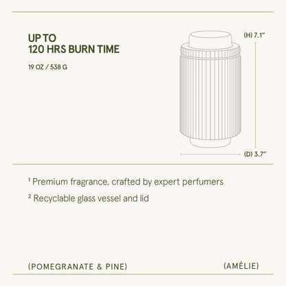 Amélie – Pomegranate &amp; Pine Candle