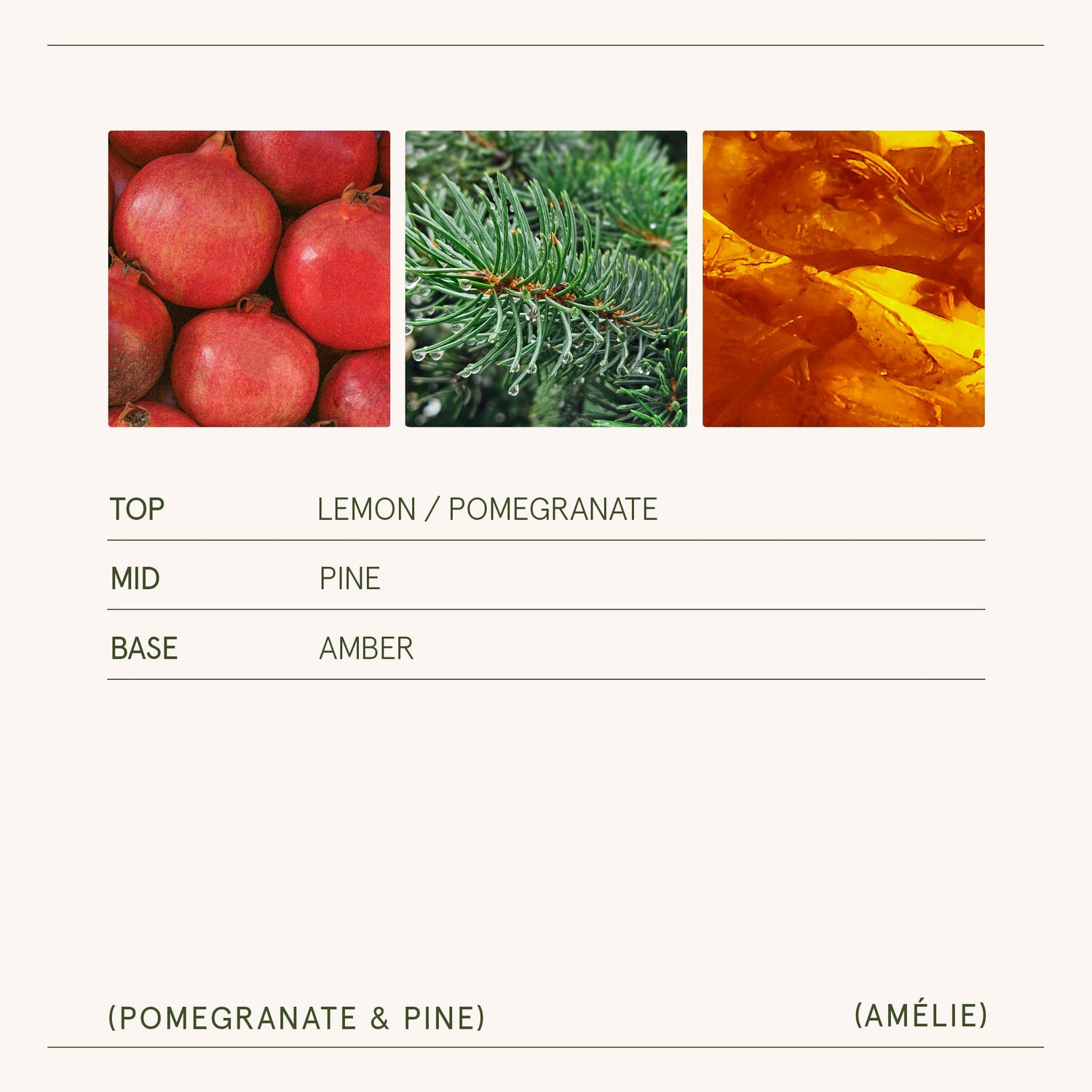 Amélie – Pomegranate &amp; Pine Candle
