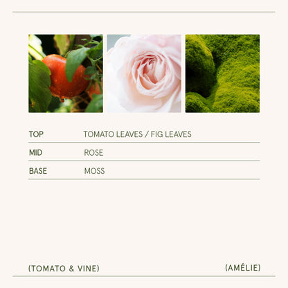 Amélie – Tomato &amp; Vine Candle