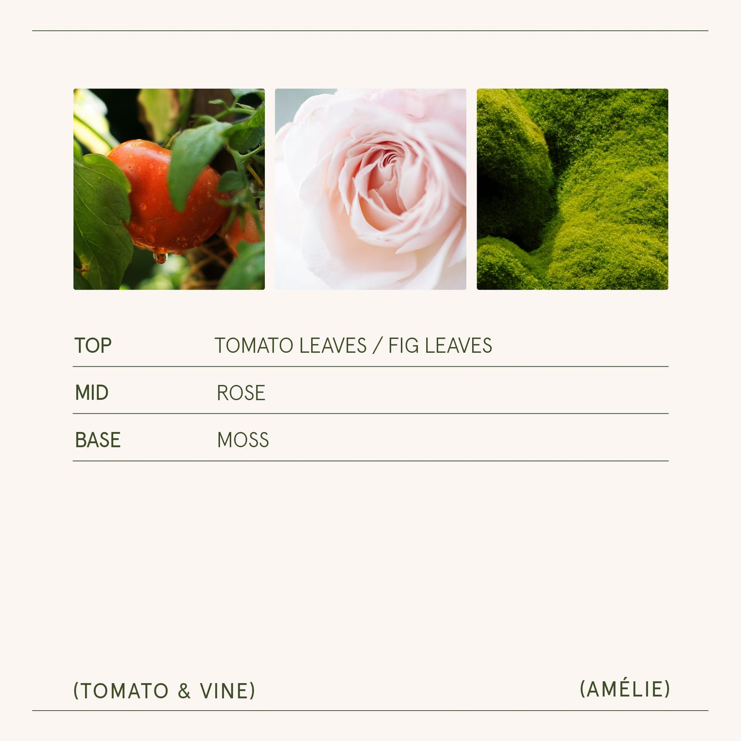 Amélie – Tomato &amp; Vine Candle