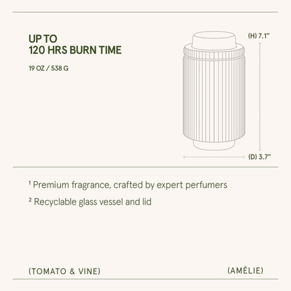 Amélie – Tomato &amp; Vine Candle