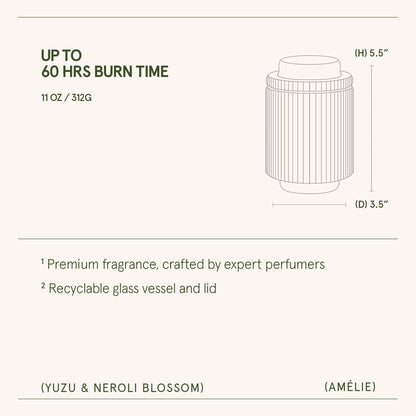 Amélie – Yuzu &amp; Neroli Blossom Candle