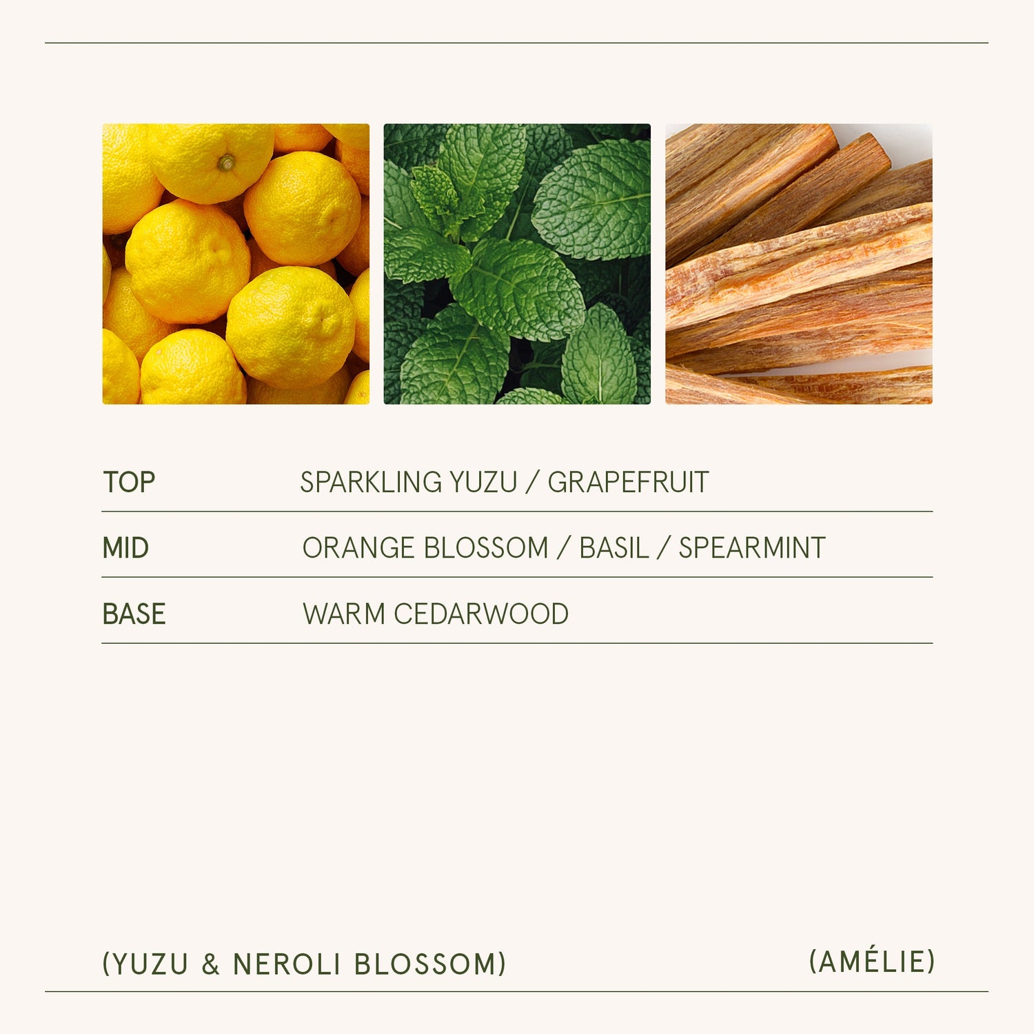 Amélie – Yuzu &amp; Neroli Blossom Candle
