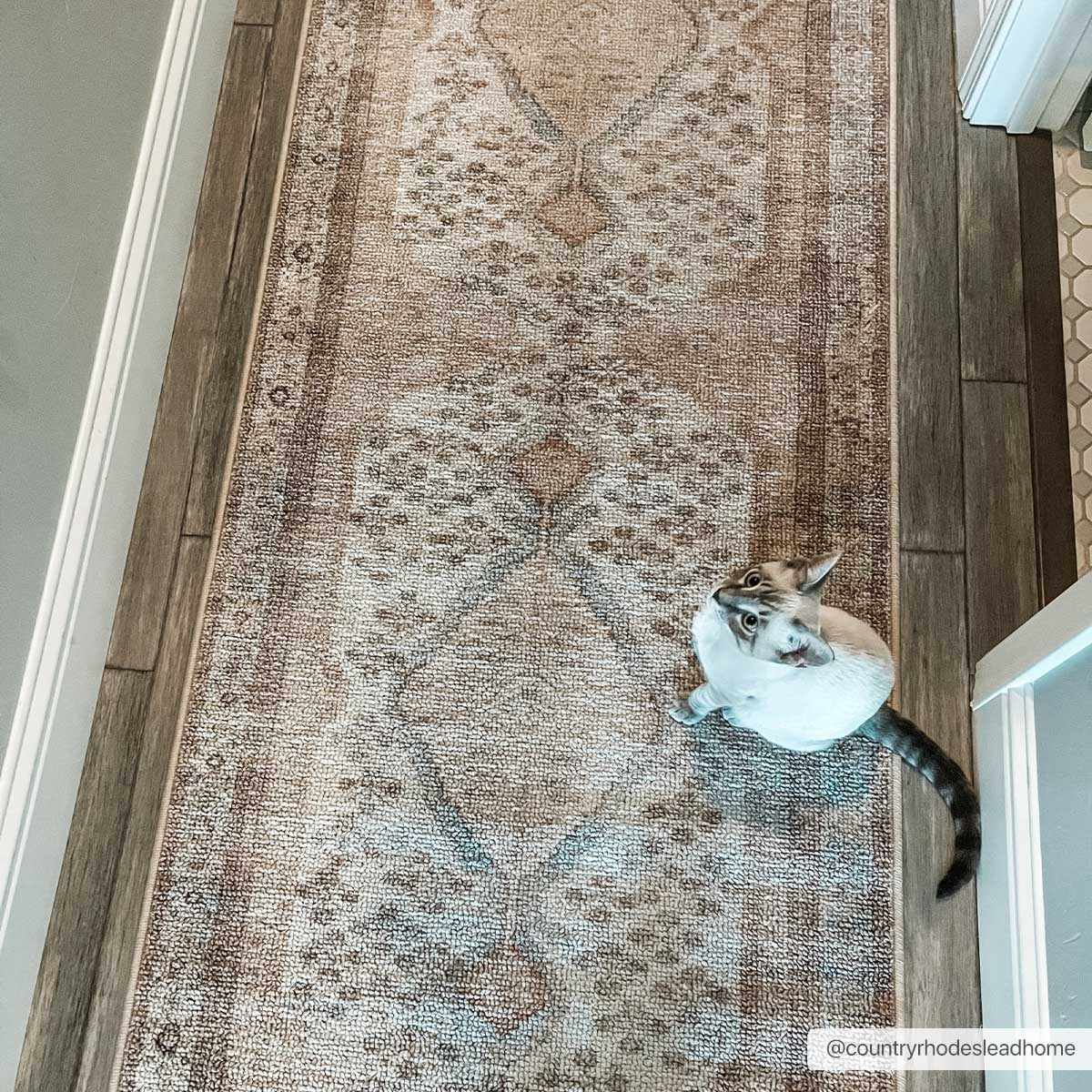 Analu Non-Slip Washable Rug