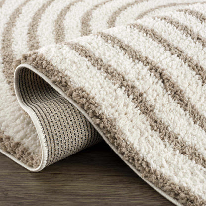 Jola Beige Area Rug