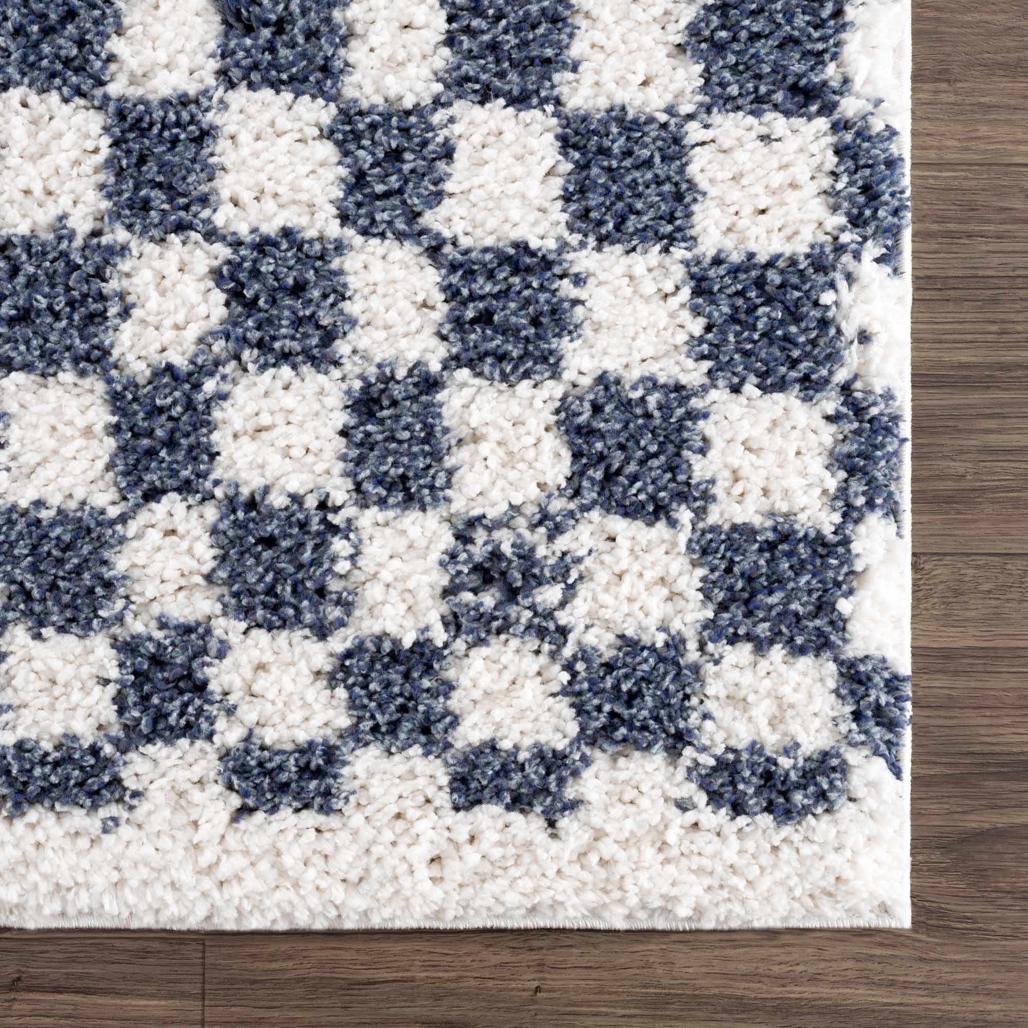 Kieu Blue &amp; White Checkered Area Rug