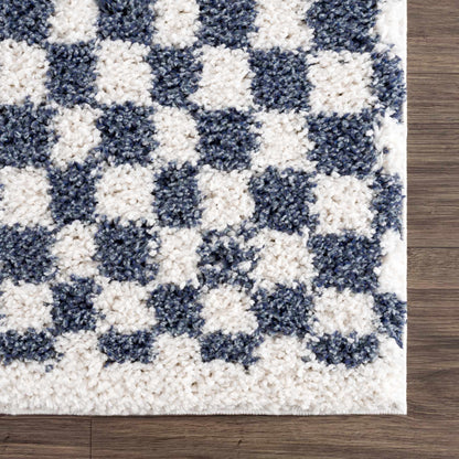 Kieu Blue &amp; White Checkered Area Rug