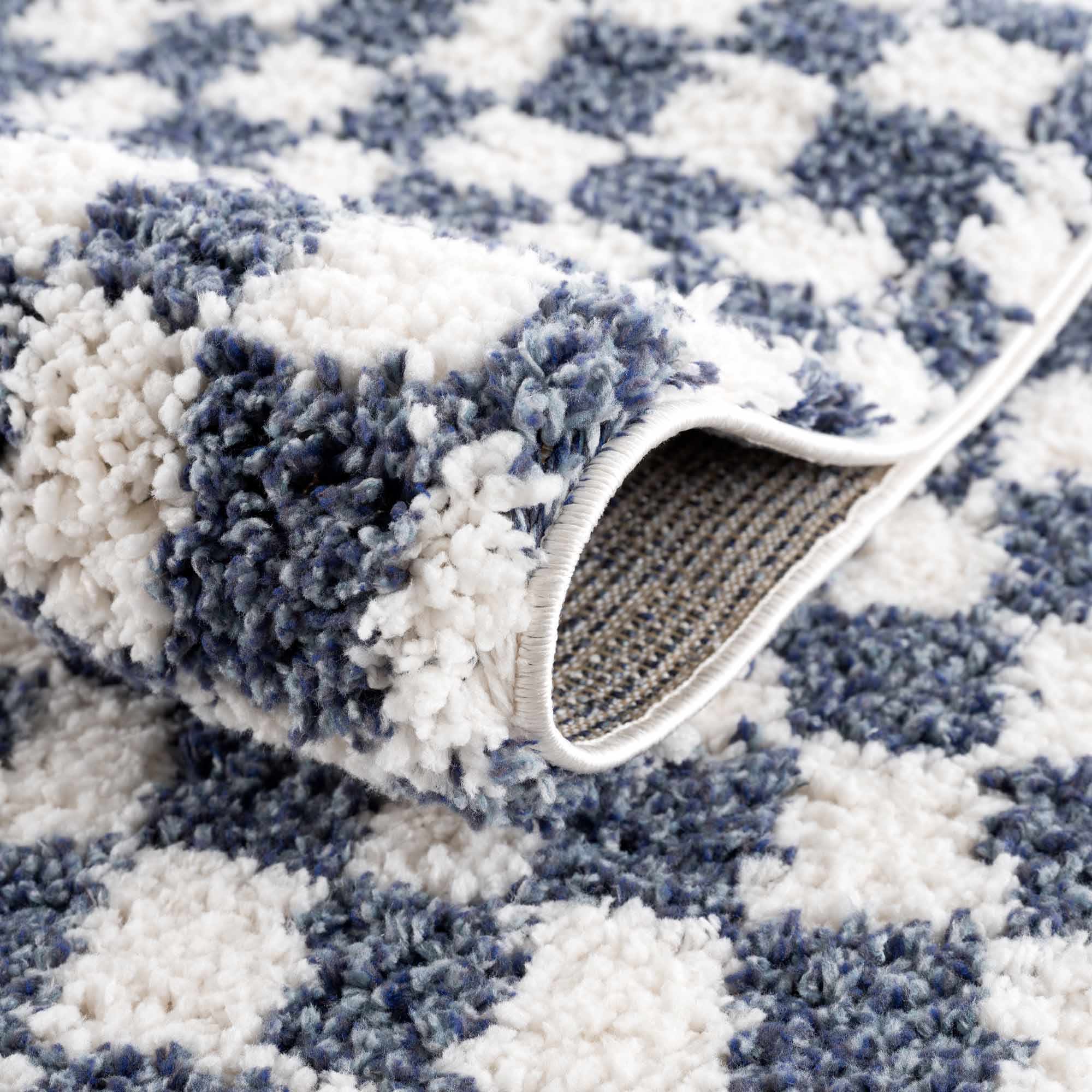 Kieu Blue &amp; White Checkered Area Rug