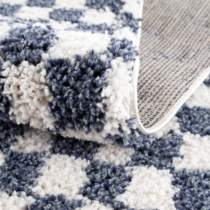 Kieu Blue &amp; White Checkered Area Rug