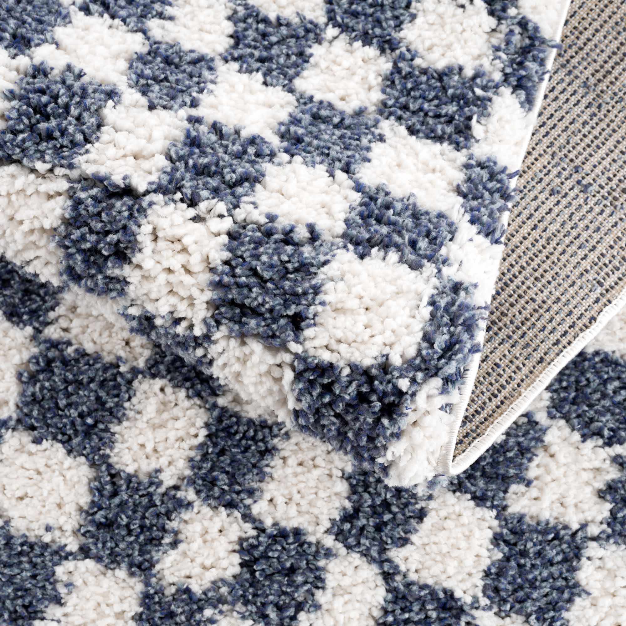 Kieu Blue &amp; White Checkered Area Rug