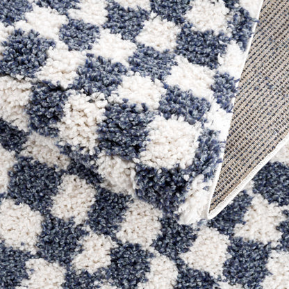 Kieu Blue &amp; White Checkered Area Rug