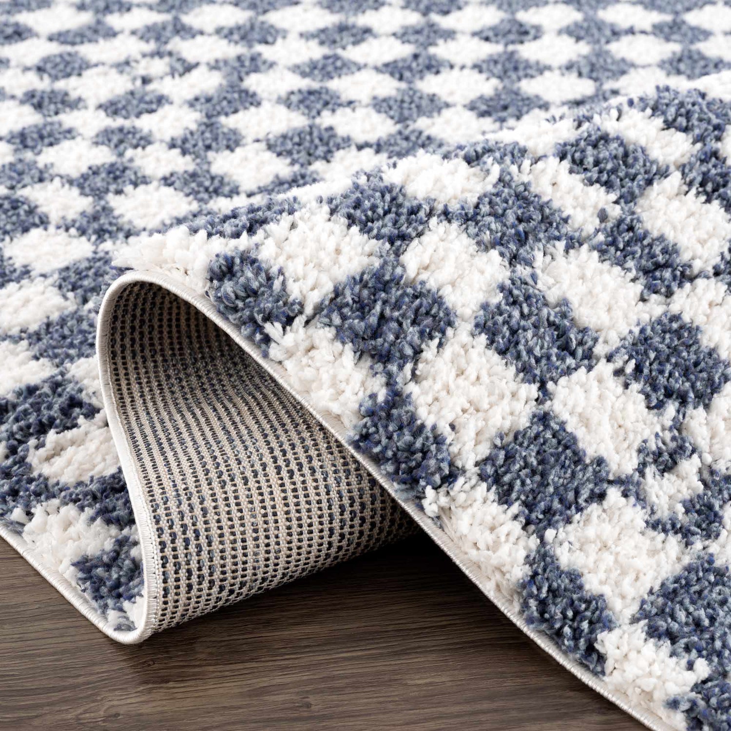 Kieu Blue &amp; White Checkered Area Rug