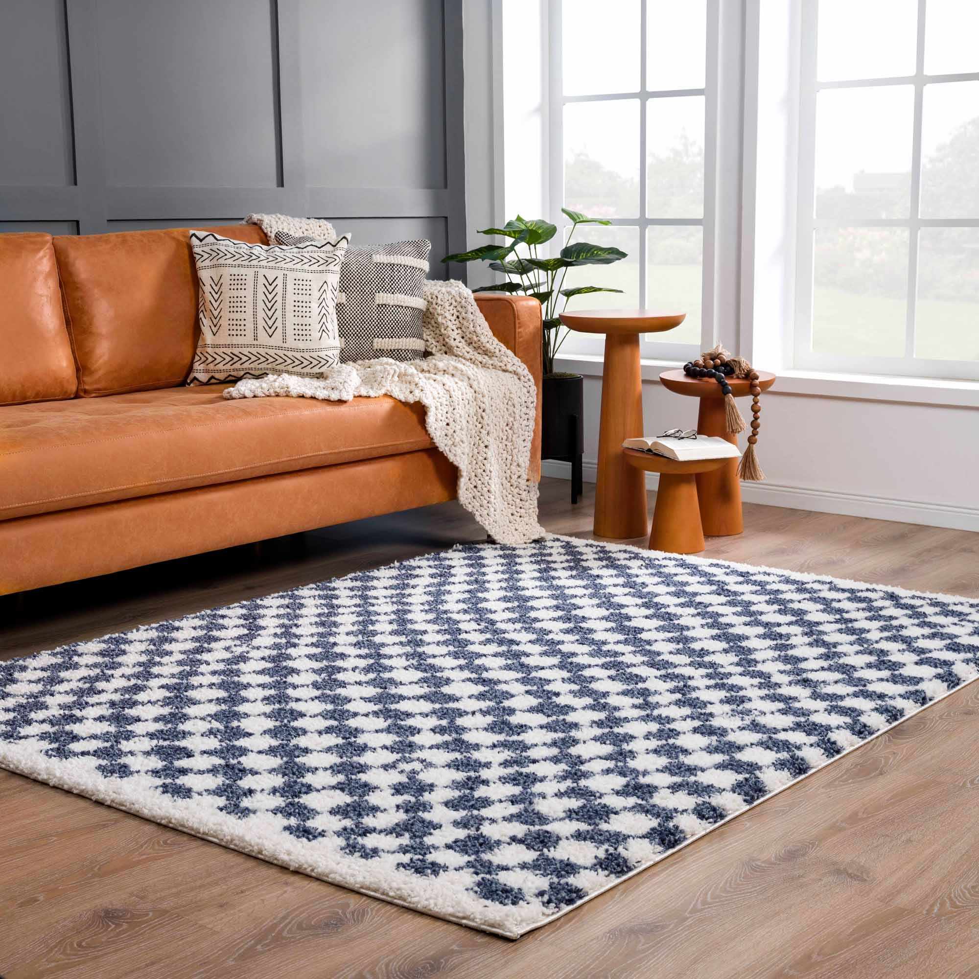 Kieu Blue &amp; White Checkered Area Rug