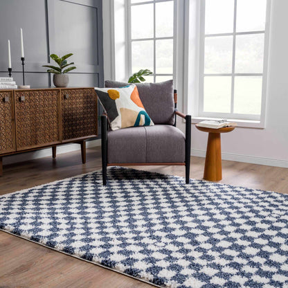 Kieu Blue &amp; White Checkered Area Rug
