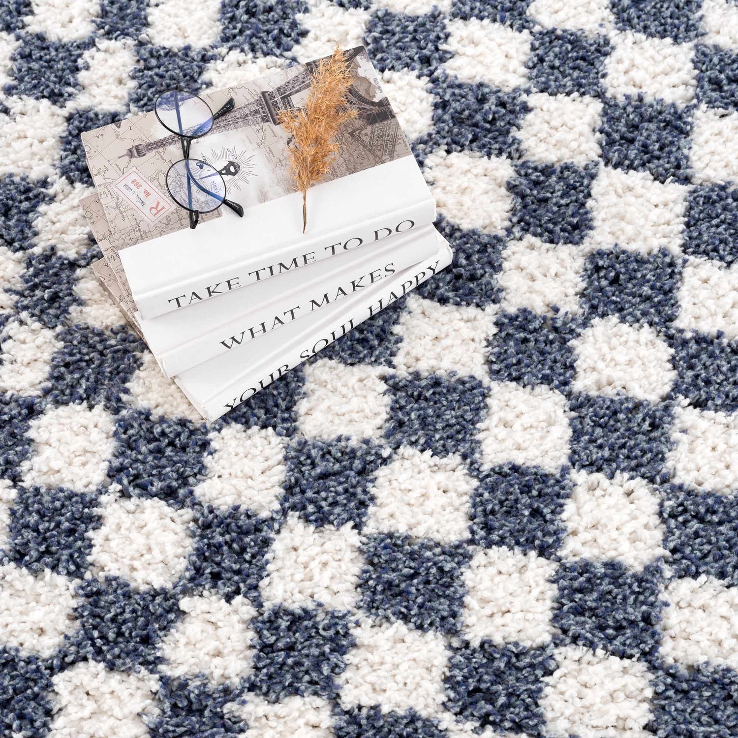 Kieu Blue &amp; White Checkered Area Rug