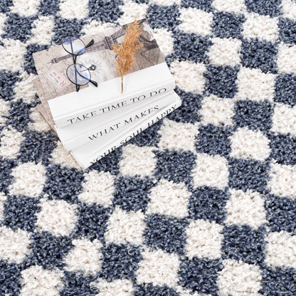 Kieu Blue &amp; White Checkered Area Rug