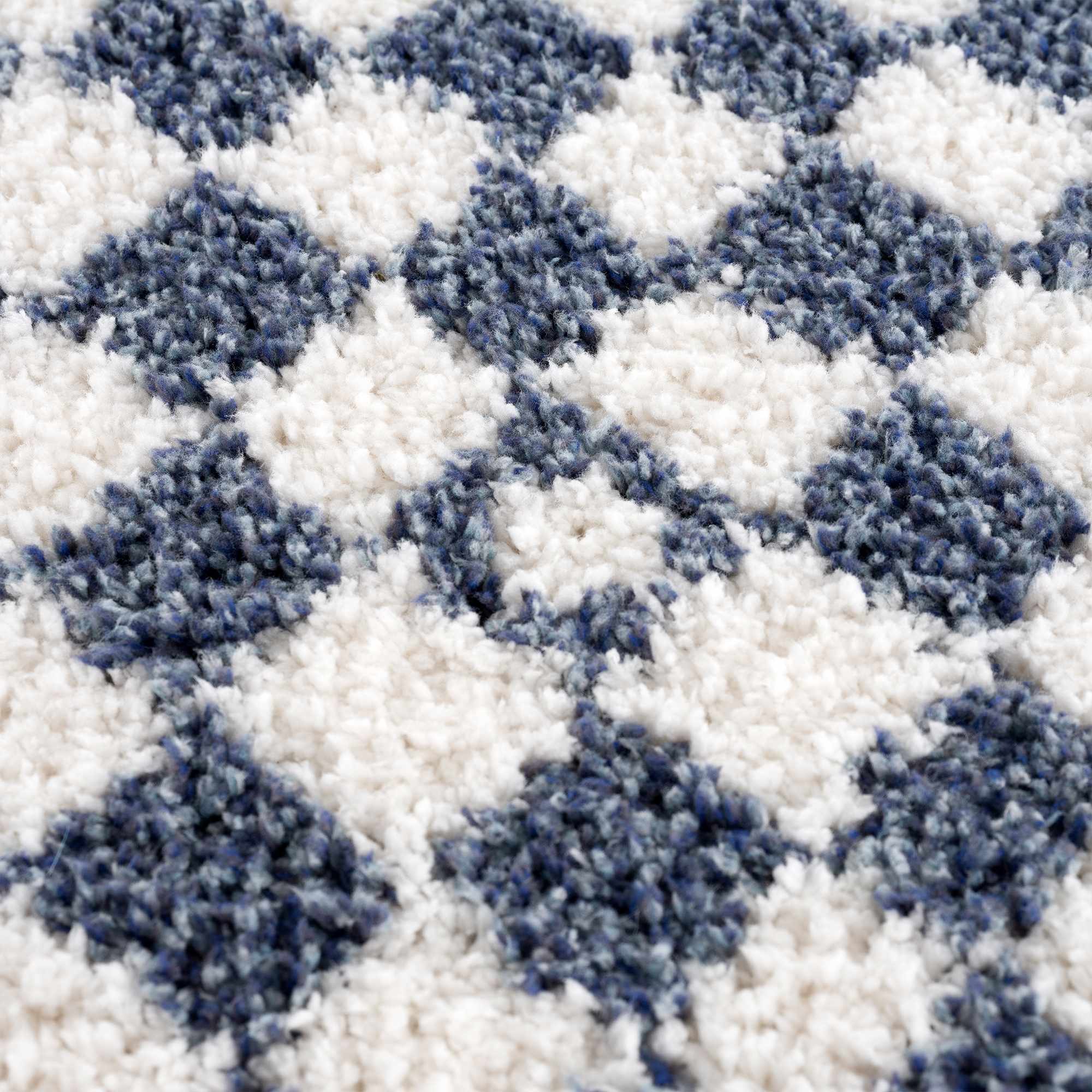 Kieu Blue &amp; White Checkered Area Rug