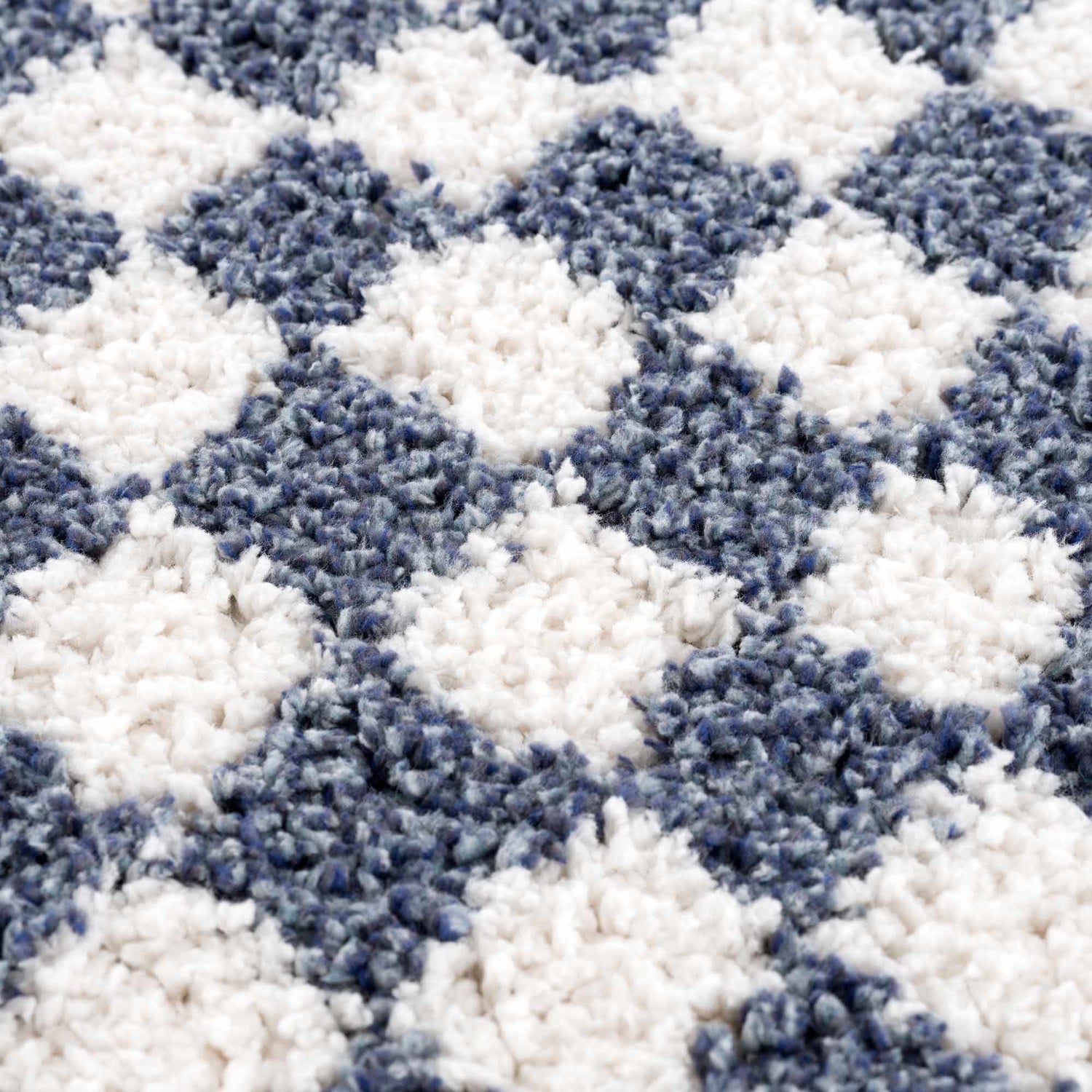 Kieu Blue &amp; White Checkered Area Rug