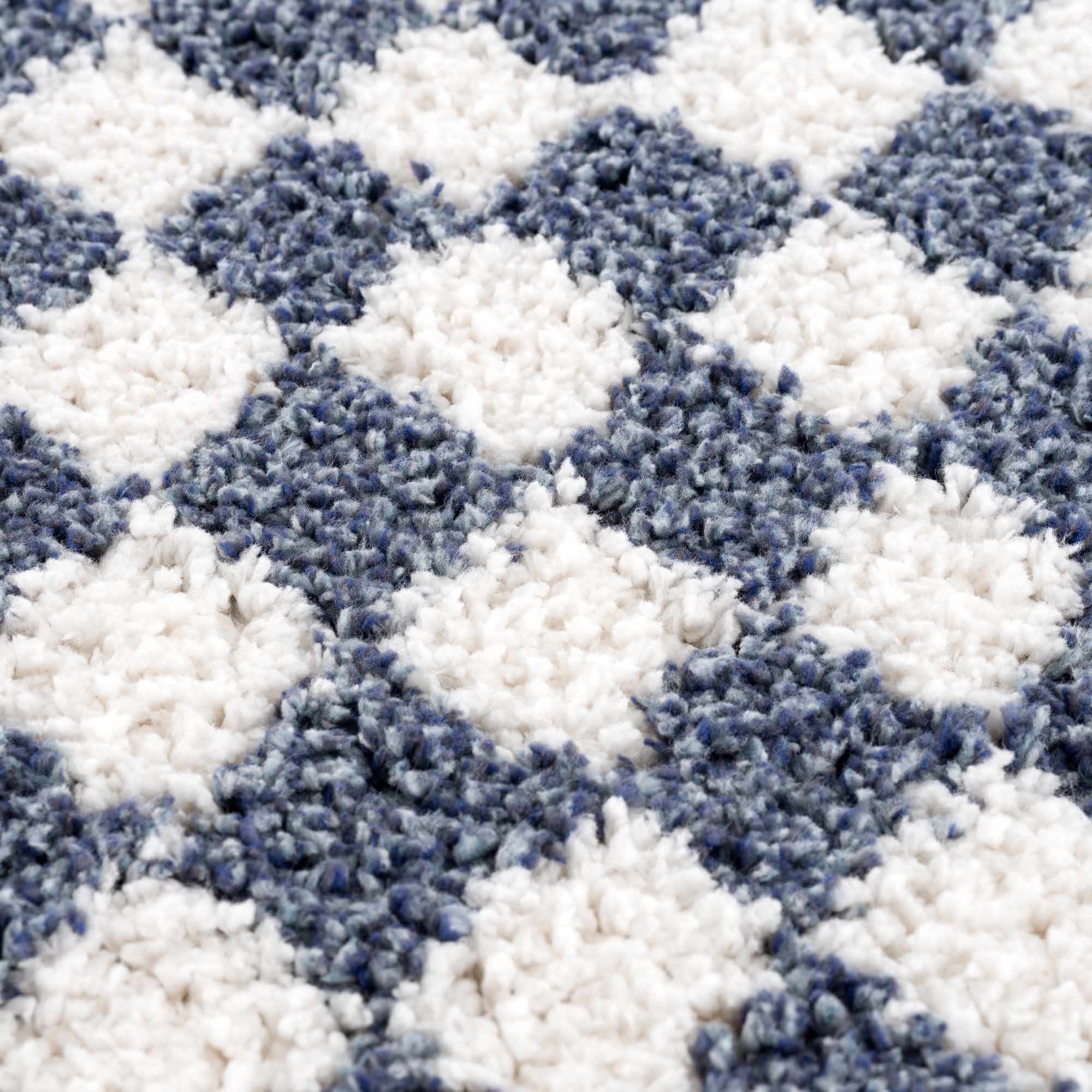 Kieu Blue &amp; White Checkered Area Rug