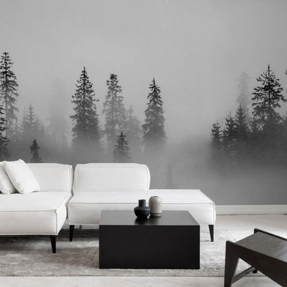 Black Pine Wallpaper