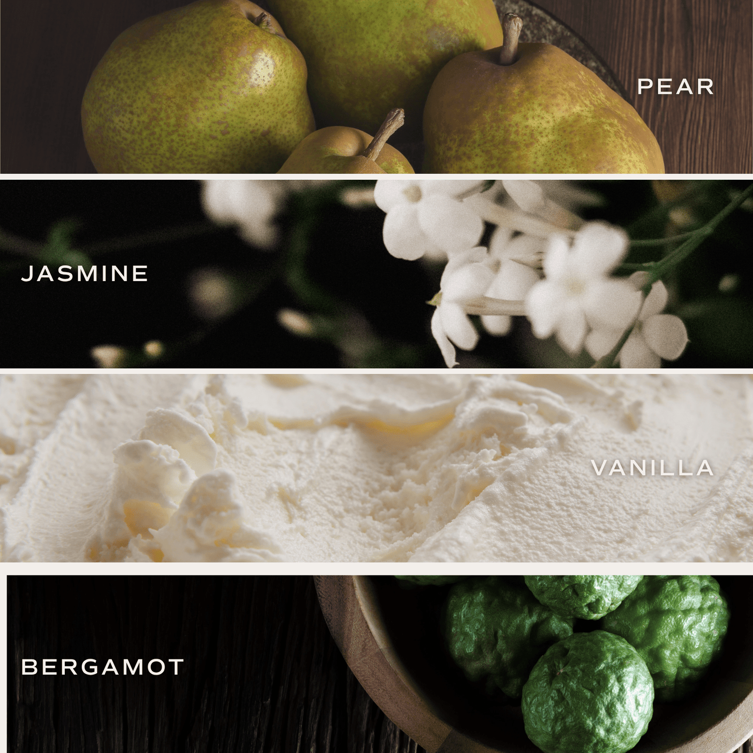 Cashmere and Vanilla Amber Reed Diffuser