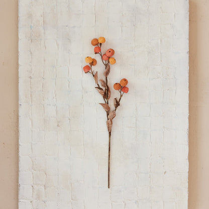 Yellow &amp; Orange Berry Stem