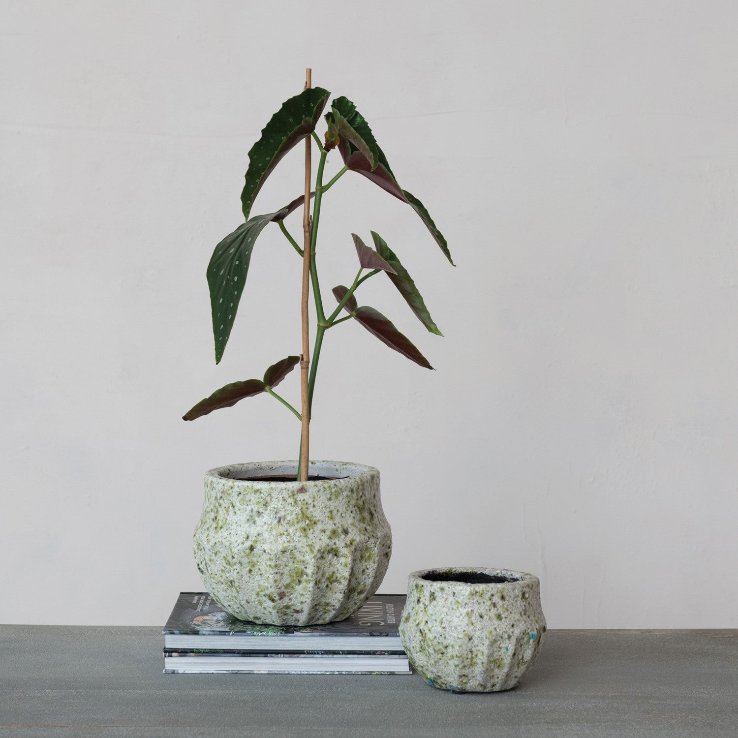 Crackle Glaze Green Terrazzo Terracotta Planter
