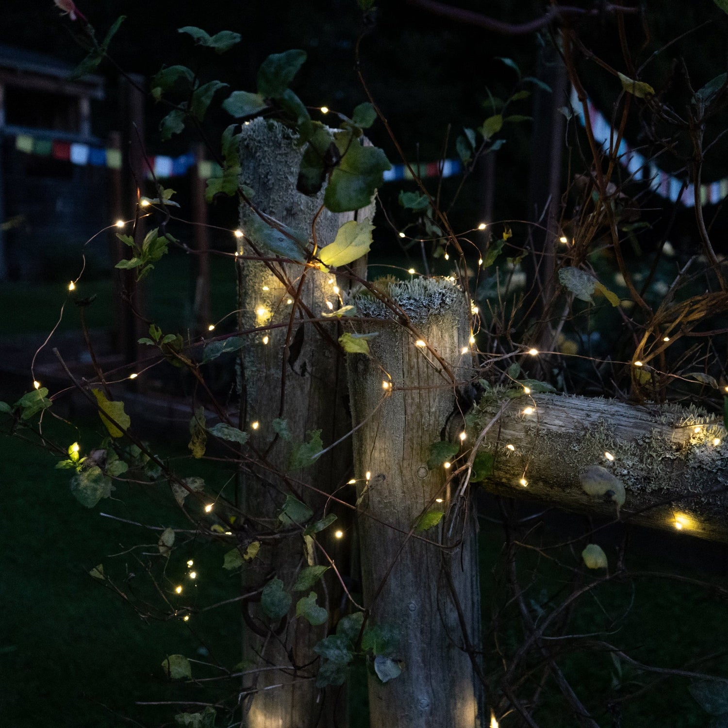 Solar Storybook Fairy String Lights (100 LEDs)
