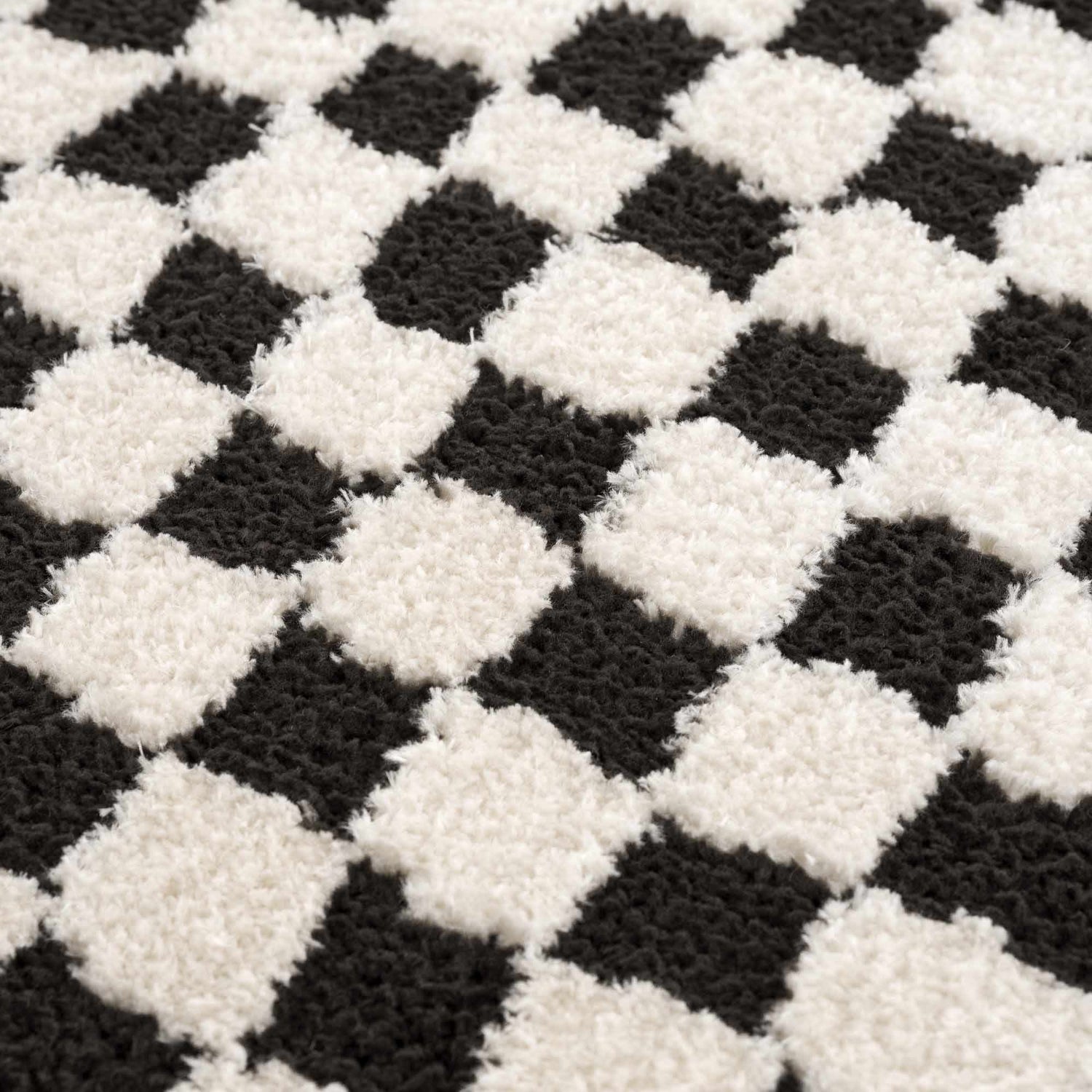 Leryn Black &amp; White Checkered Area Rug