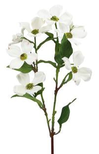 19"L Dogwood Spray