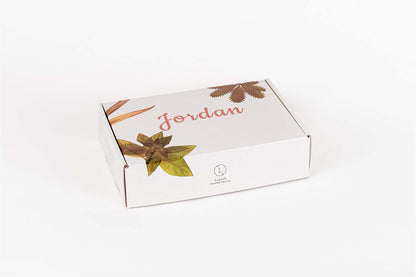 Refreshing Shower Steamer Gift Box - Set of 12