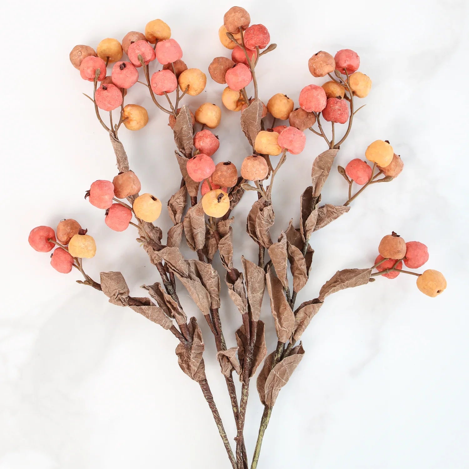 Yellow &amp; Orange Berry Stem