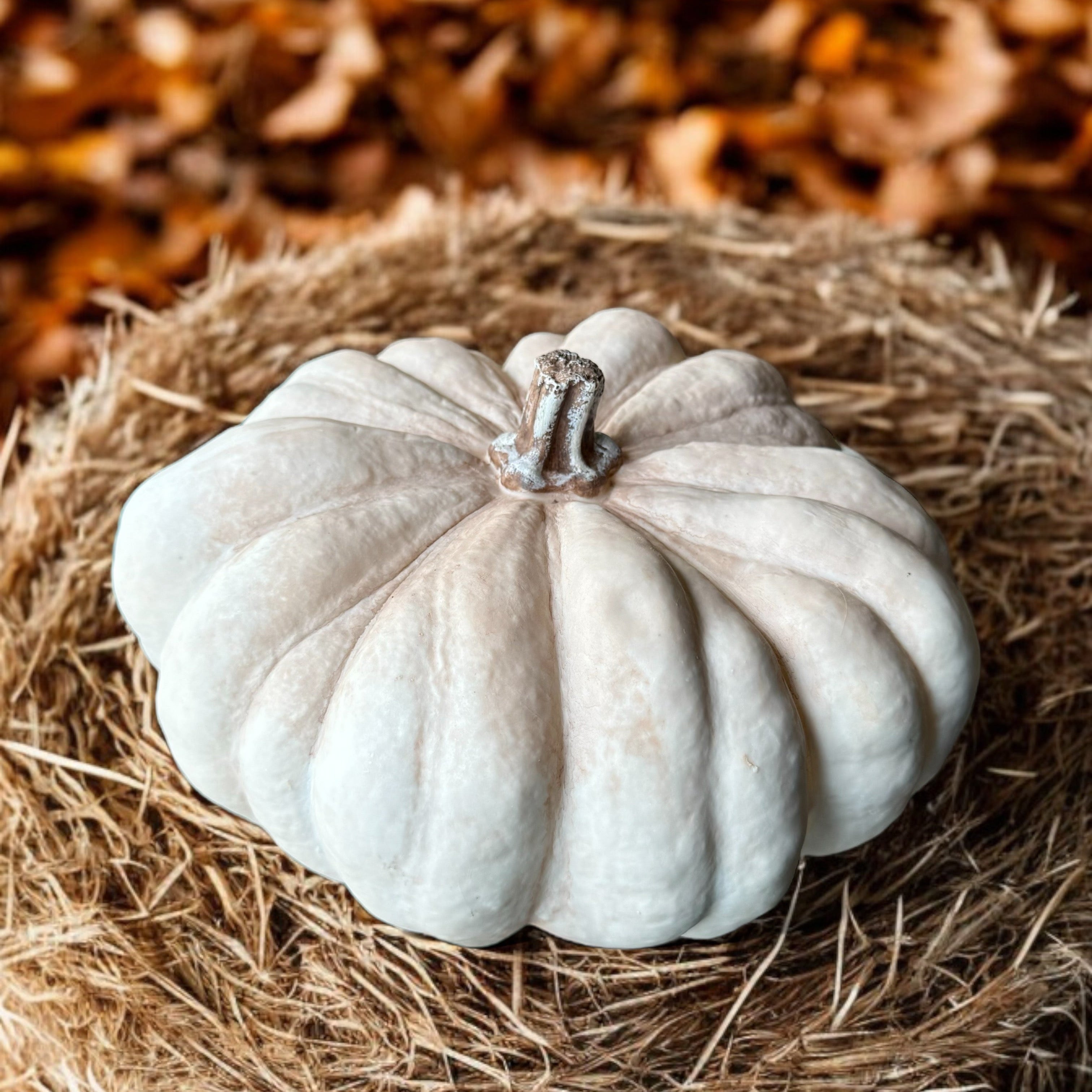 Textured Resin Pumpkins