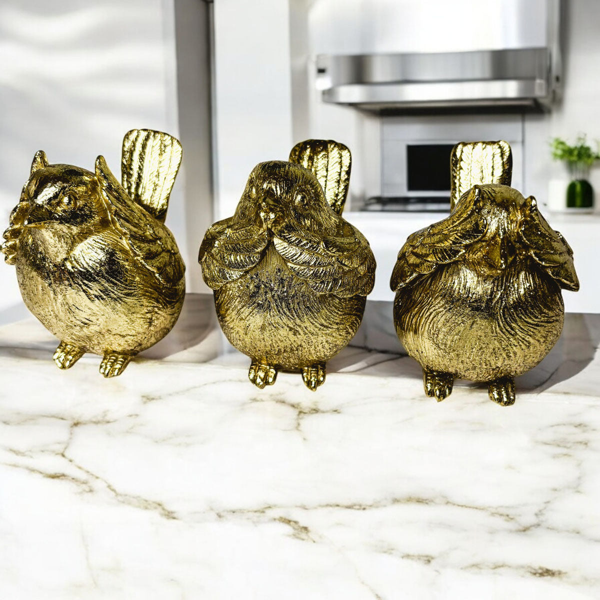 3 Wise Birds