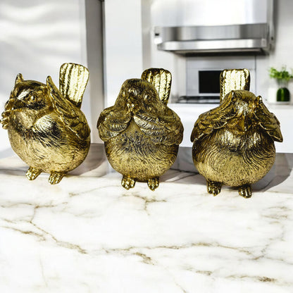 3 Wise Birds