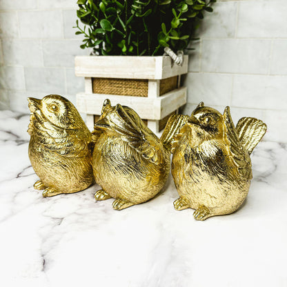 3 Wise Birds