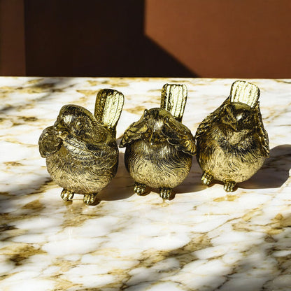 3 Wise Birds