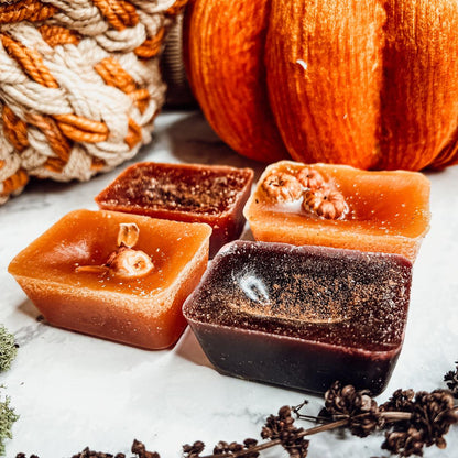 XL Wax Melts- Fall Harvest