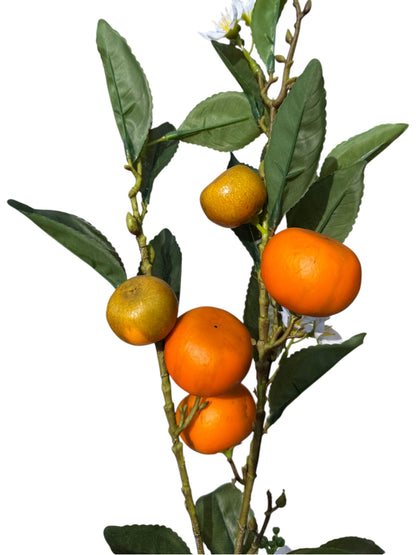 Honey Tangerine Branch Stem